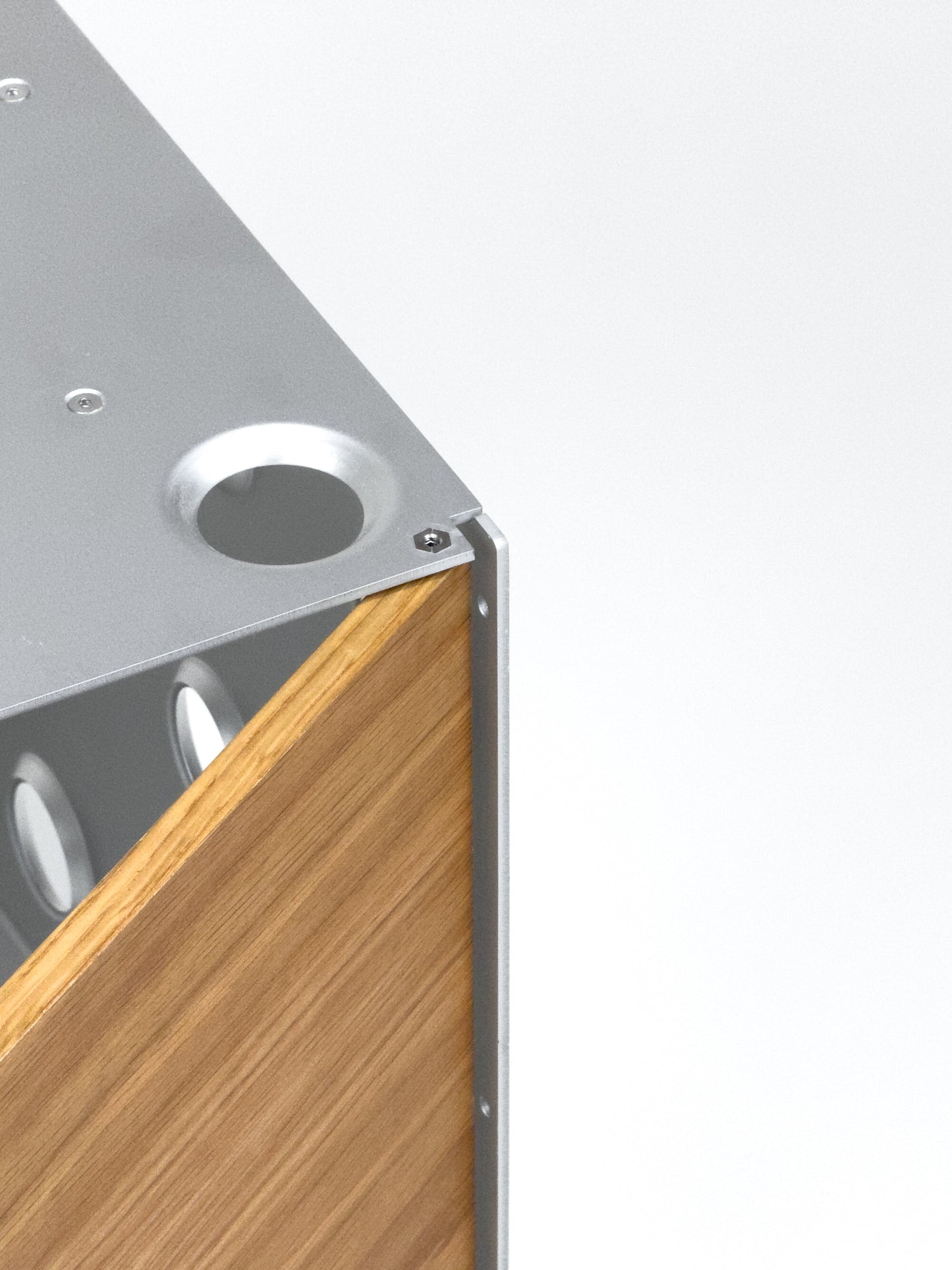 Pivot Door