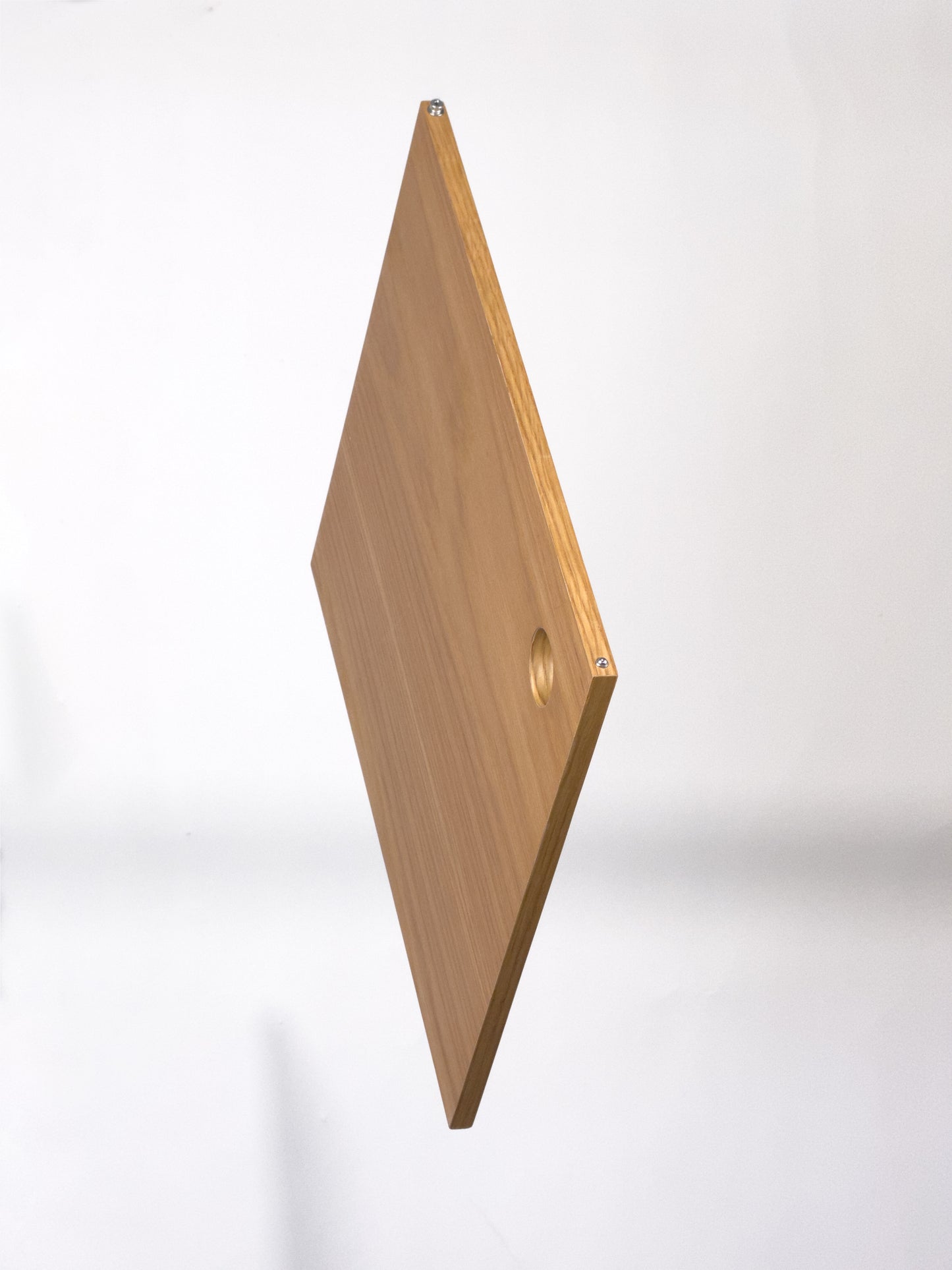 Pivot Door