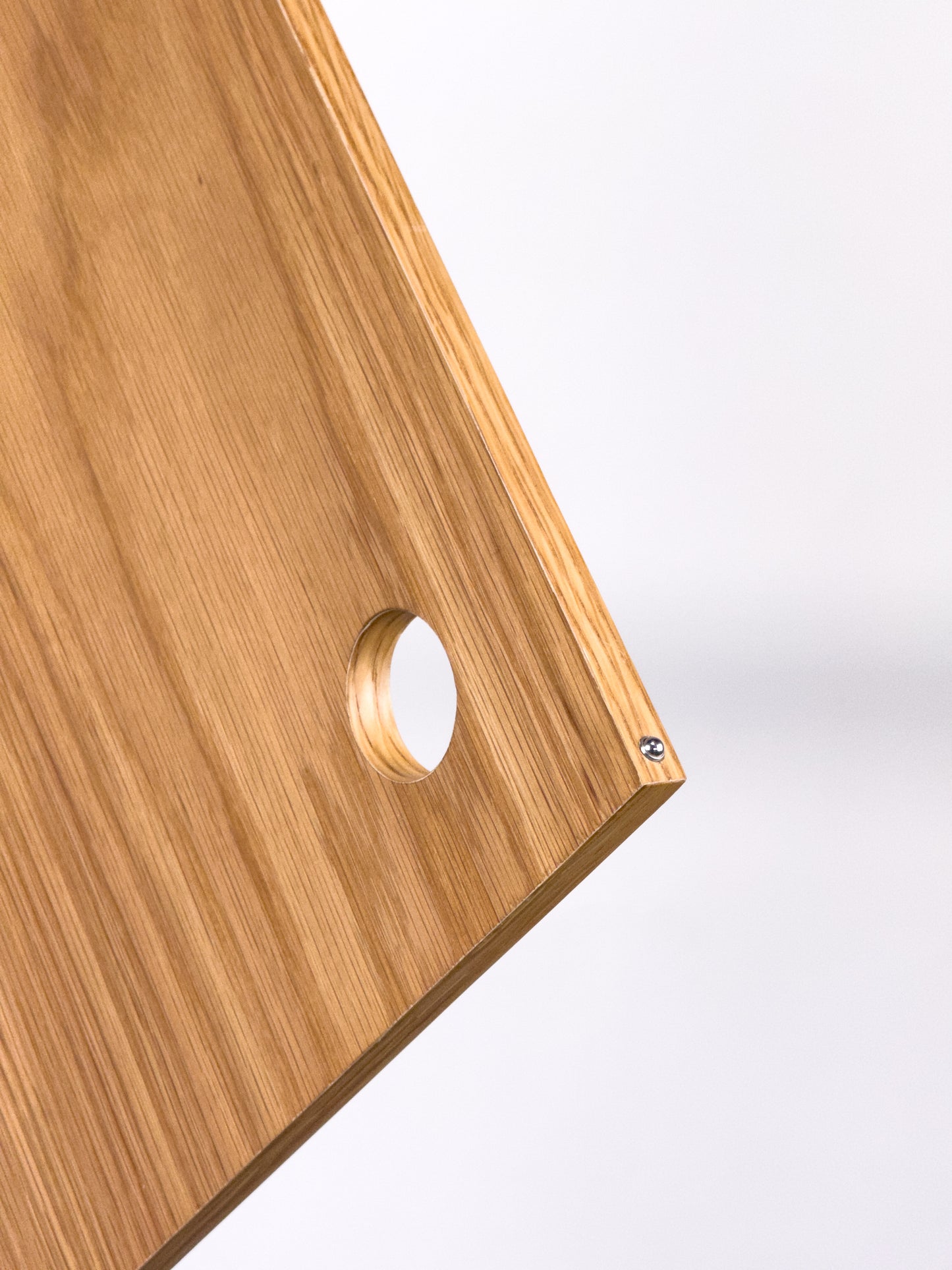 Pivot Door