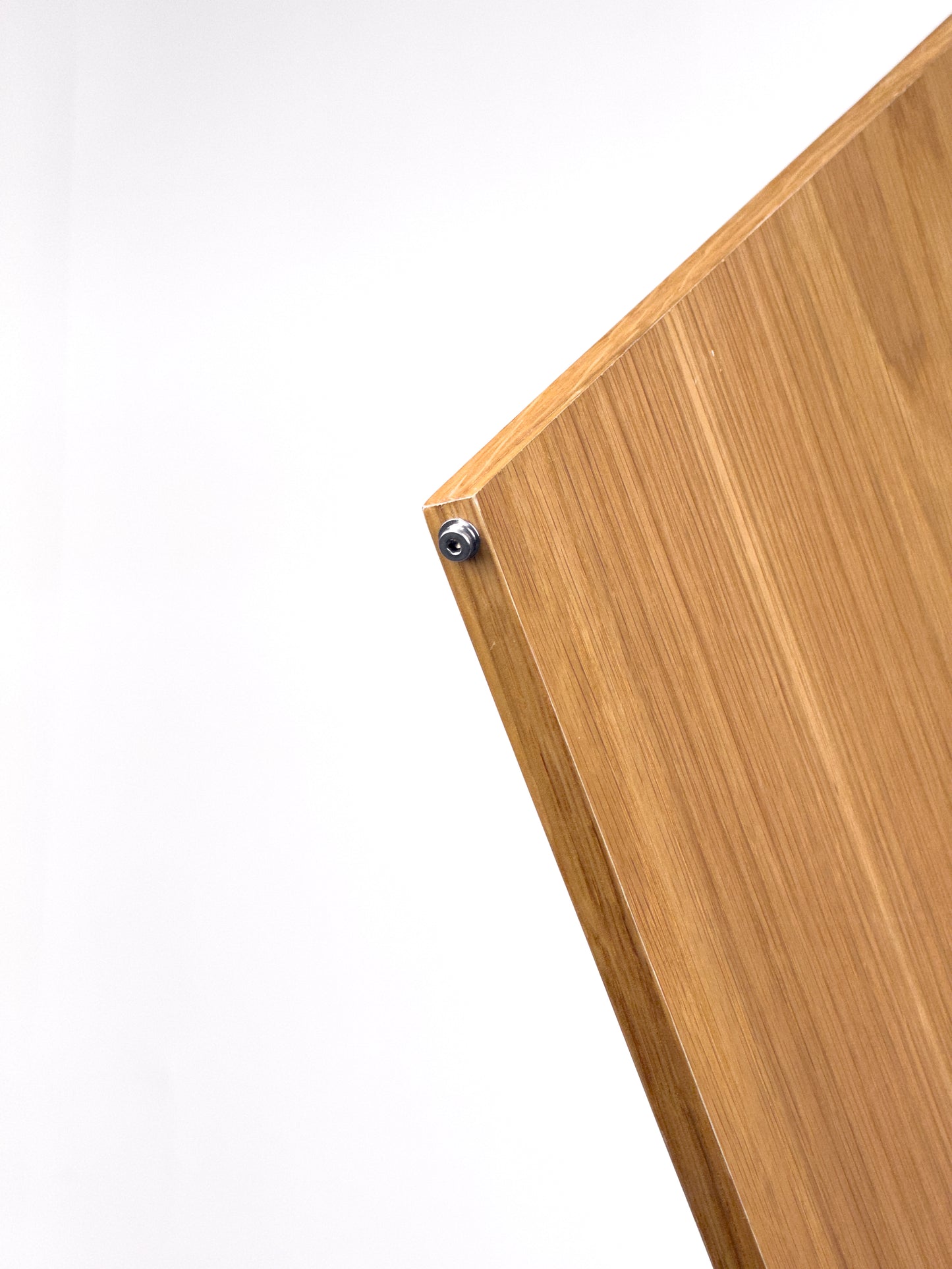 Pivot Door